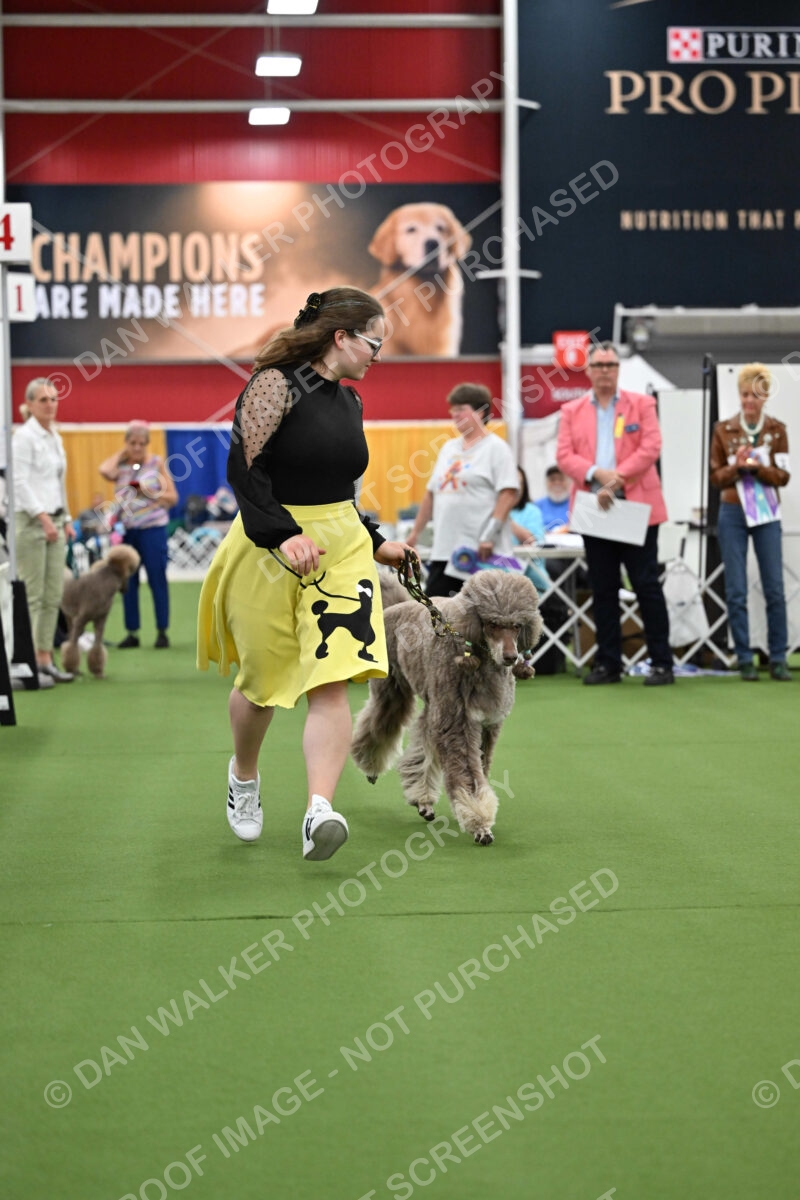 Parade-of-Titles_2733
