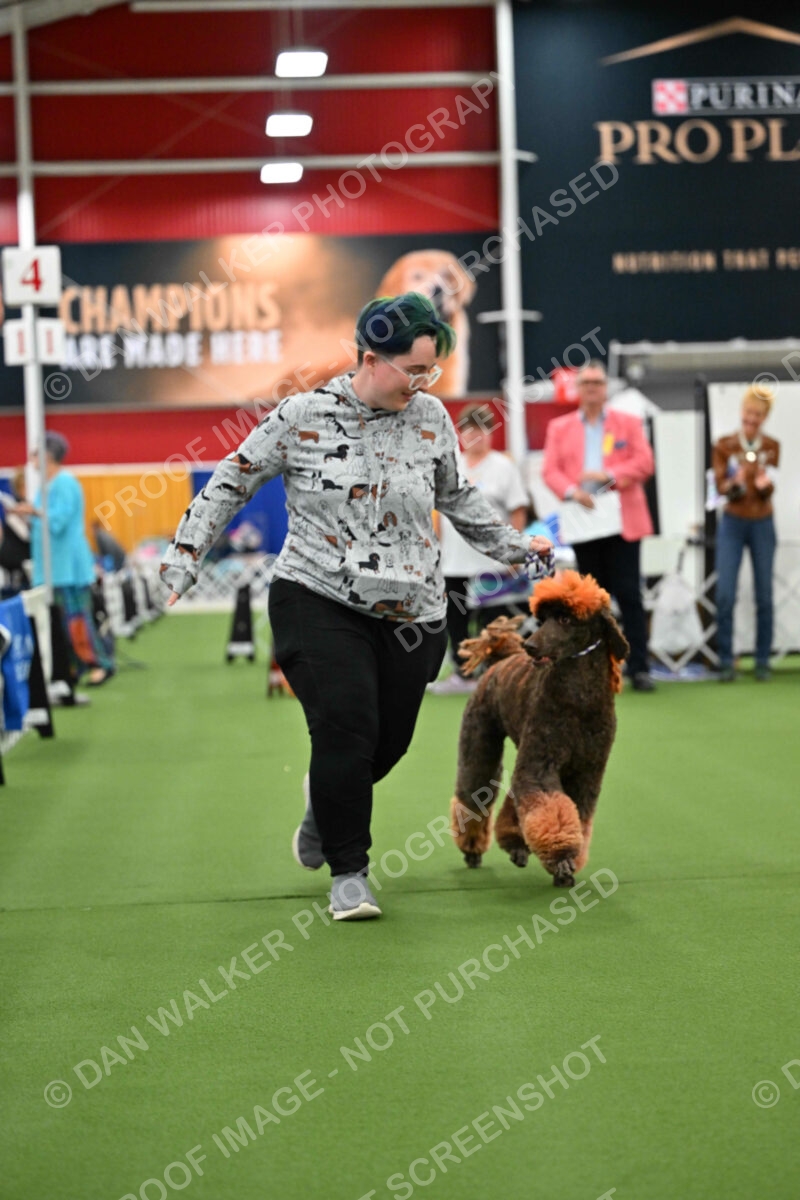 Parade-of-Titles_2767