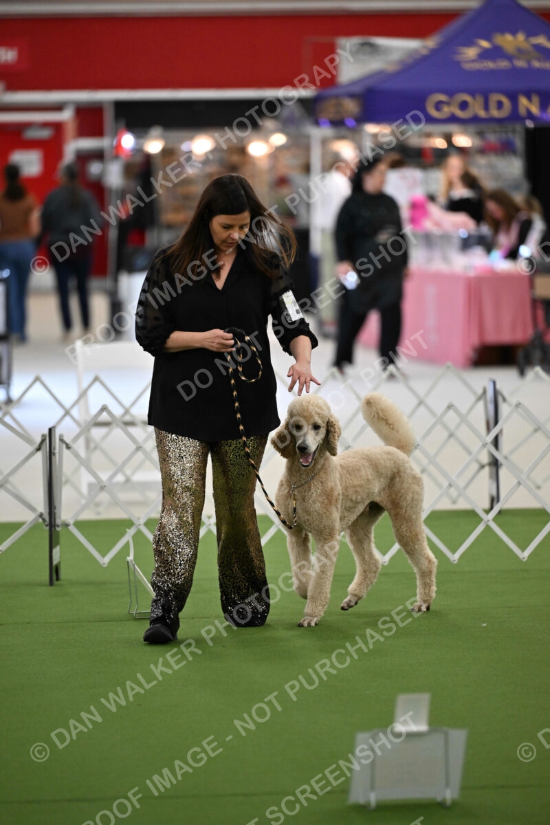 Ring-4-Afternoon-Rally_2582
