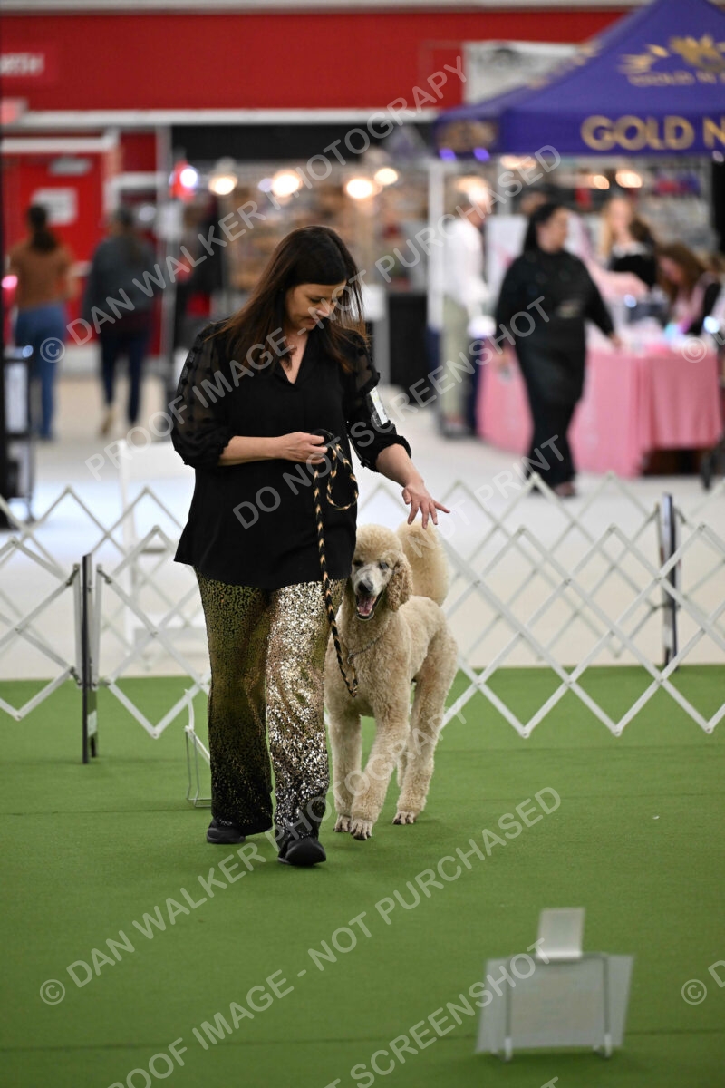 Ring-4-Afternoon-Rally_2586