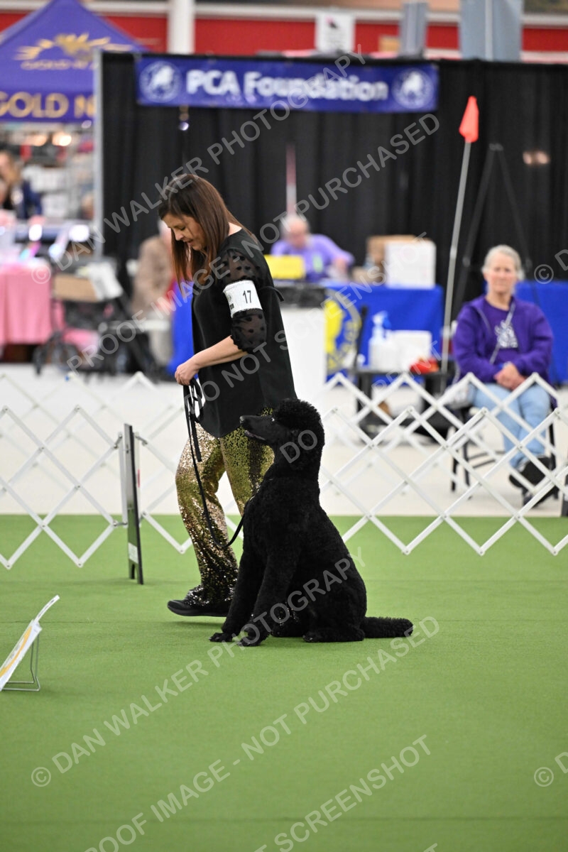 Ring-4-Afternoon-Rally_2595