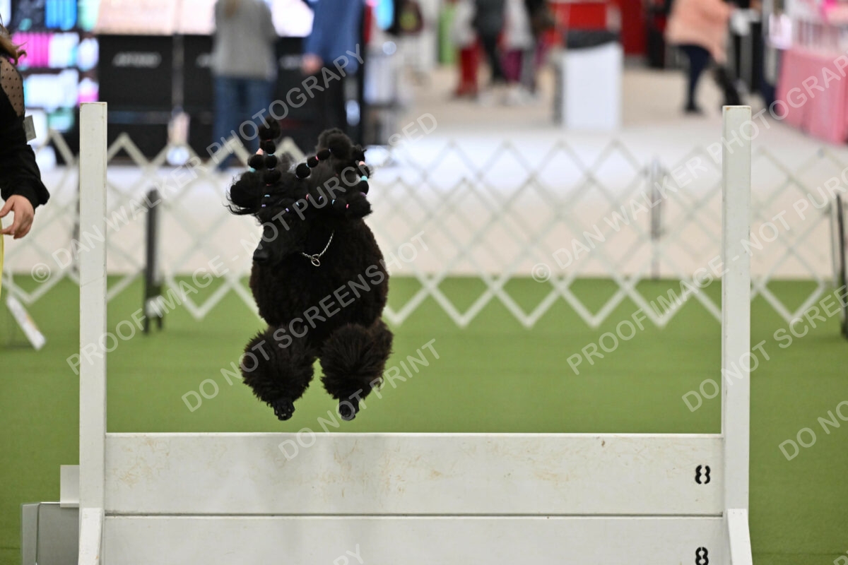 Ring-4-Morning-Rally_1144