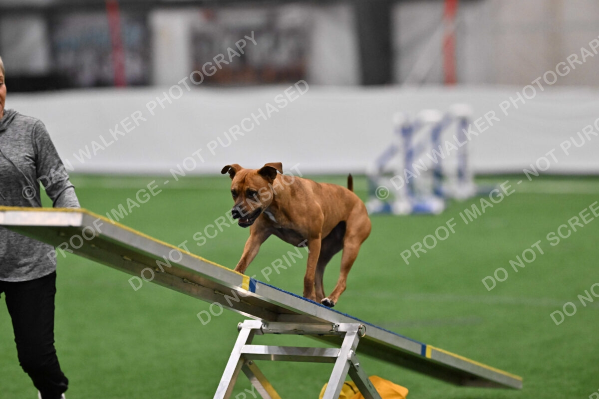 Amber-Britta-Nielsen-03791