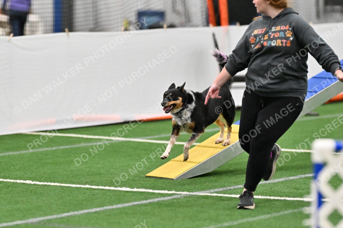 Aspen-Kassandra-Johnston-07657