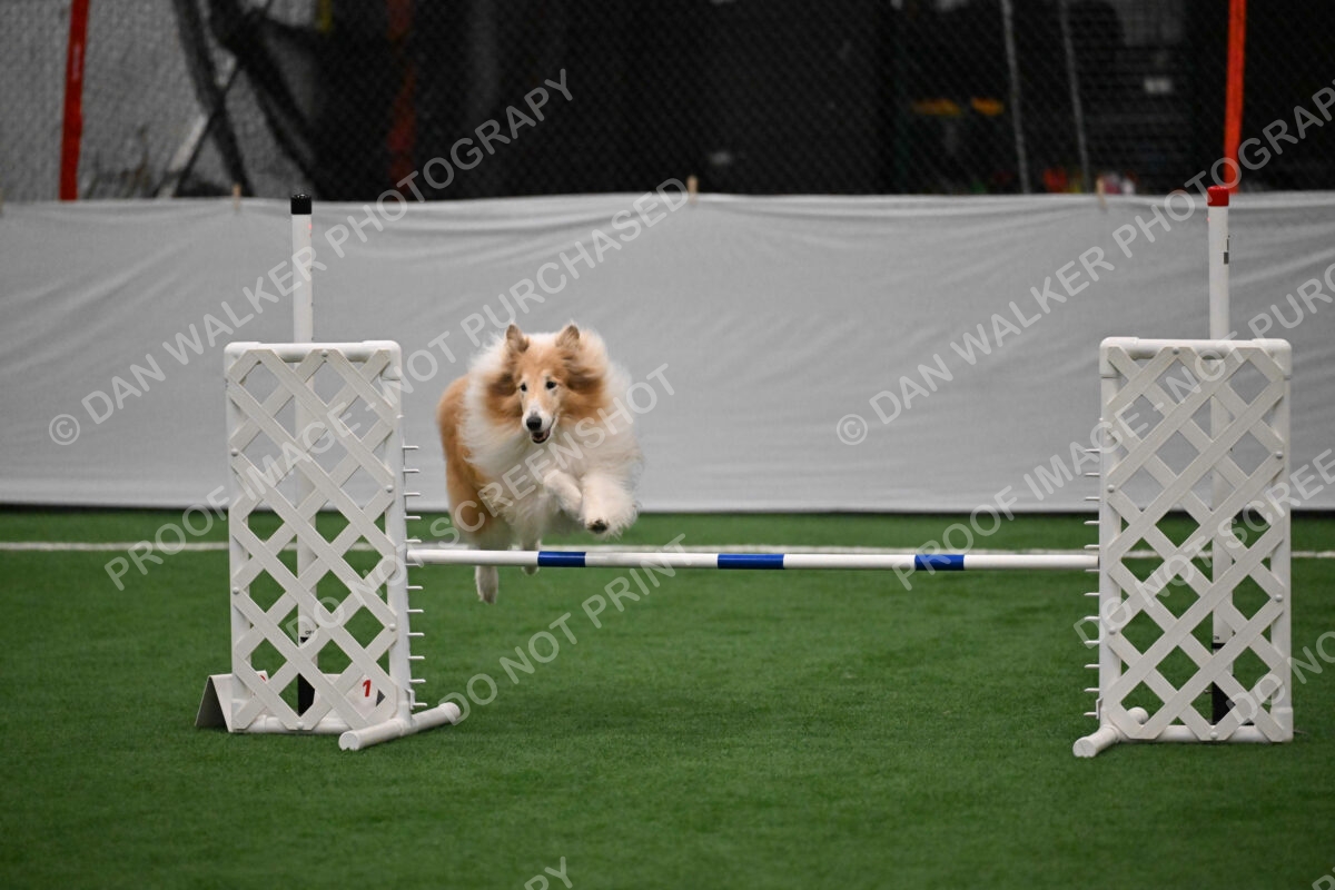 Attie-Eric-Schaffer-09858