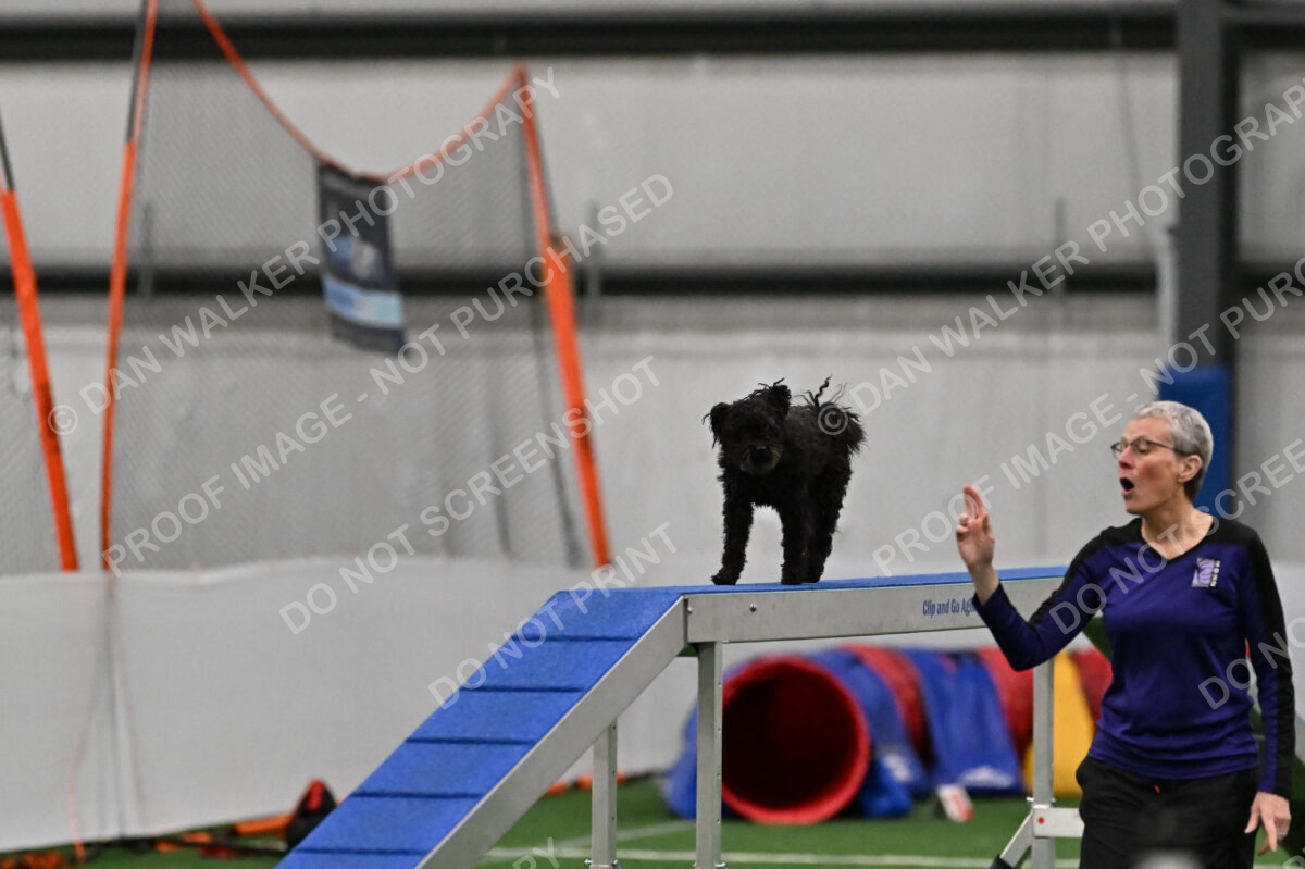 Aweggie-Kay-Rackley-00904