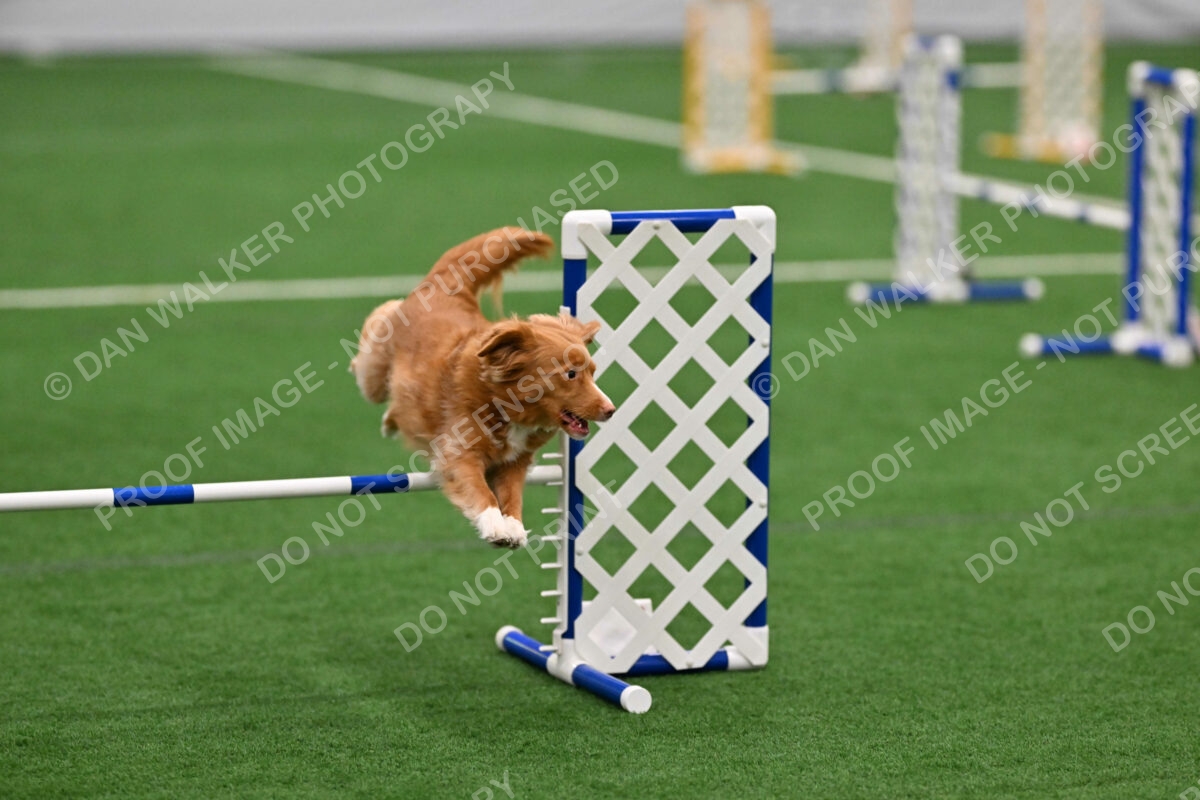 Basil-Cindy-Fink-03368