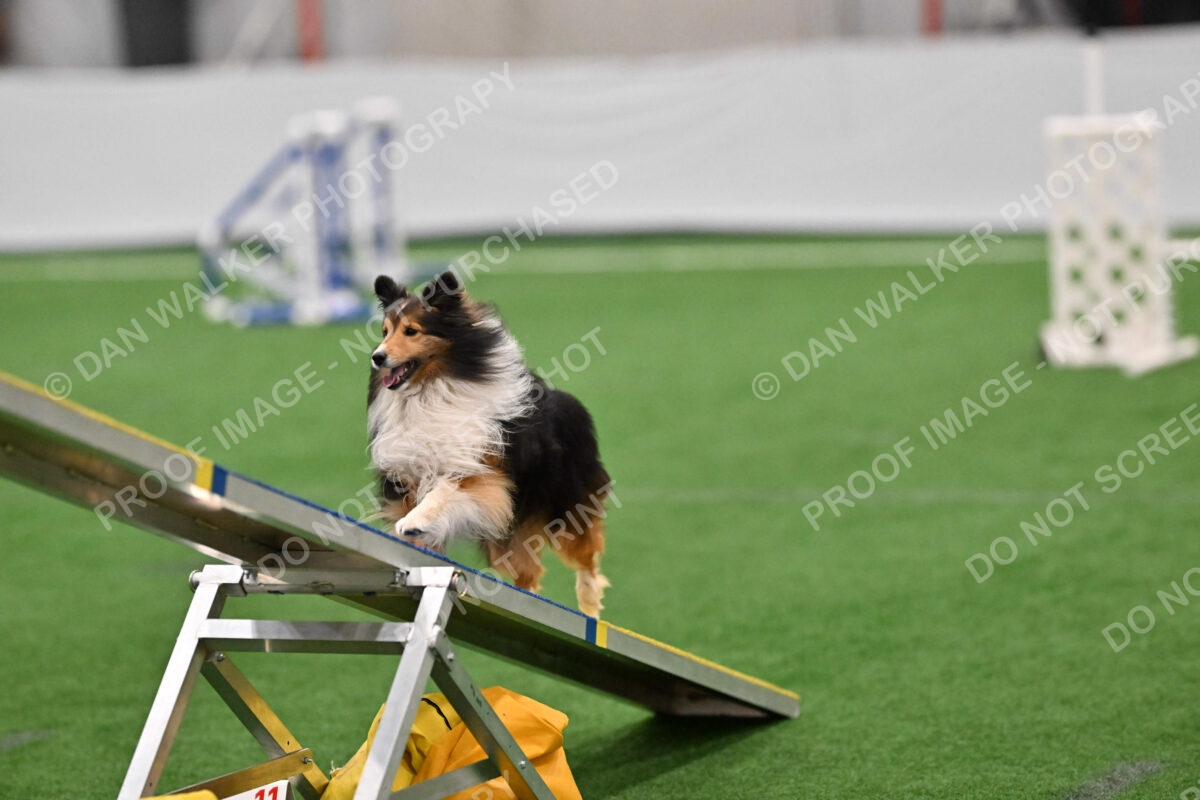 Bolt-Julie-Dunn-01953