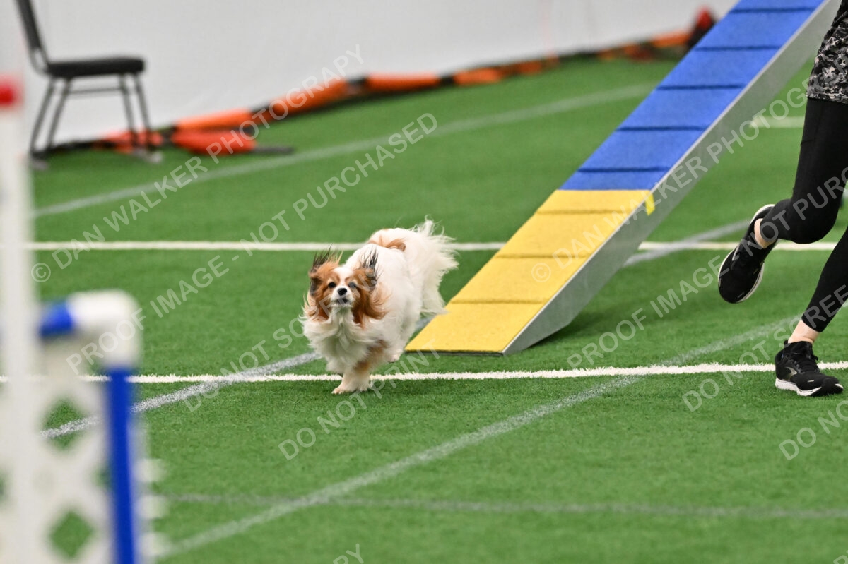 Boomer-Ramona-Cartwright-00374
