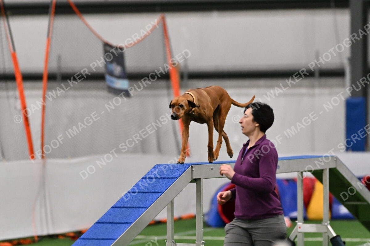 Buttercup-Alexandra-Hart-05362