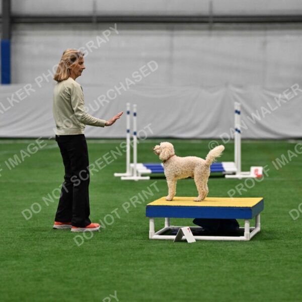 Charlie-Barbara-Thomas-08283
