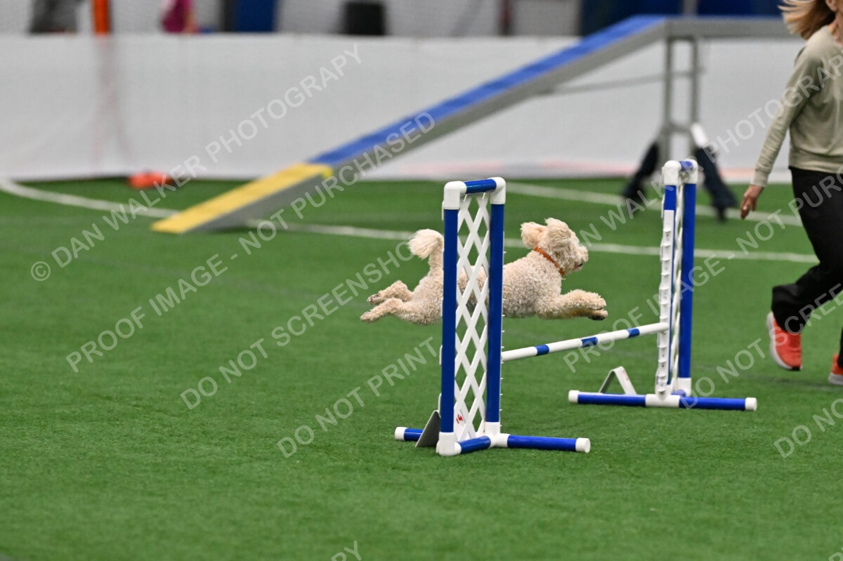 Charlie-Barbara-Thomas-08292