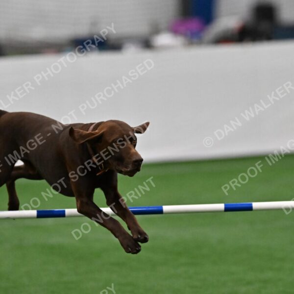 Chester-Linda-Lombardi-07467
