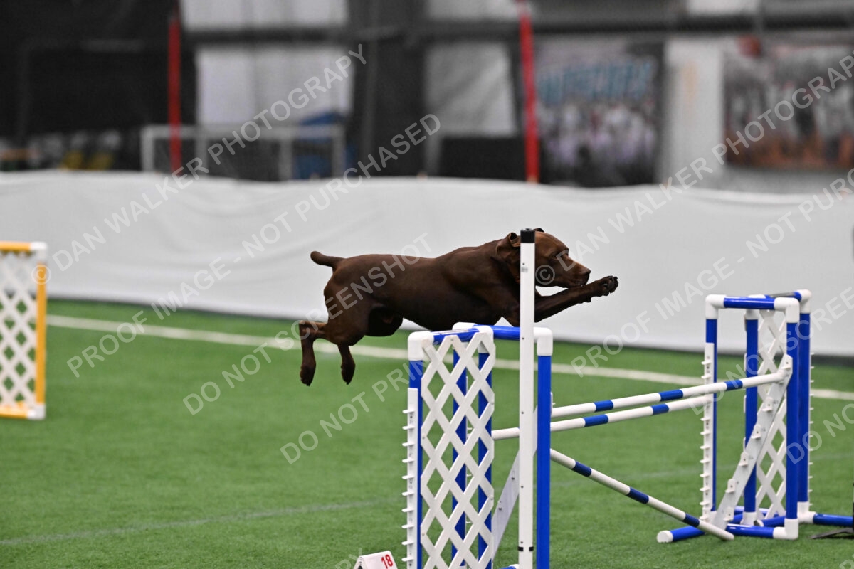 Chester-Linda-Lombardi-07473