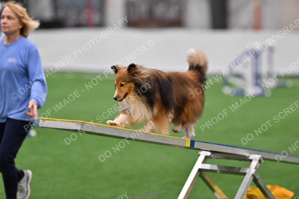 Chia-Diane-Loeffert-03425