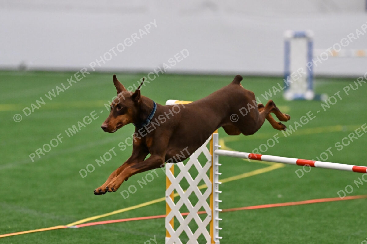 Derby-Carol-Moore-06049
