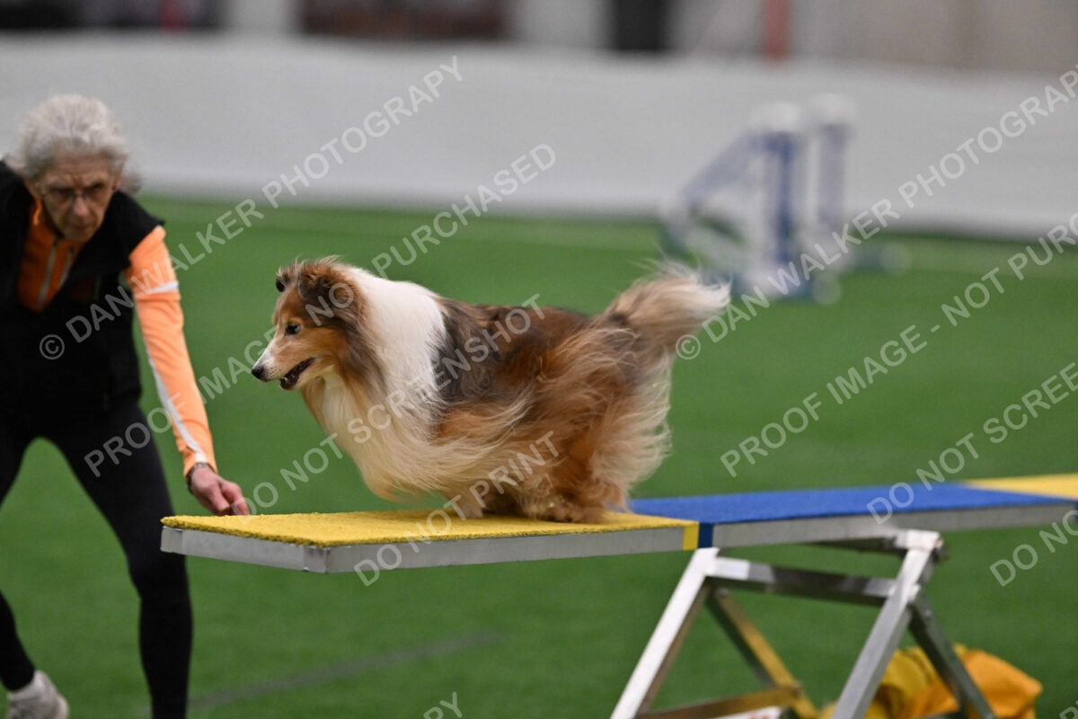 Derek-Carol-Currier-09226