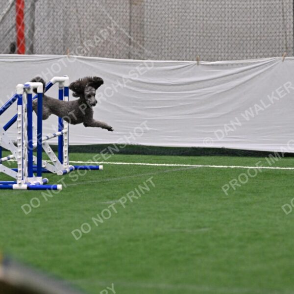 Fizz-Lori-Bieber-03092