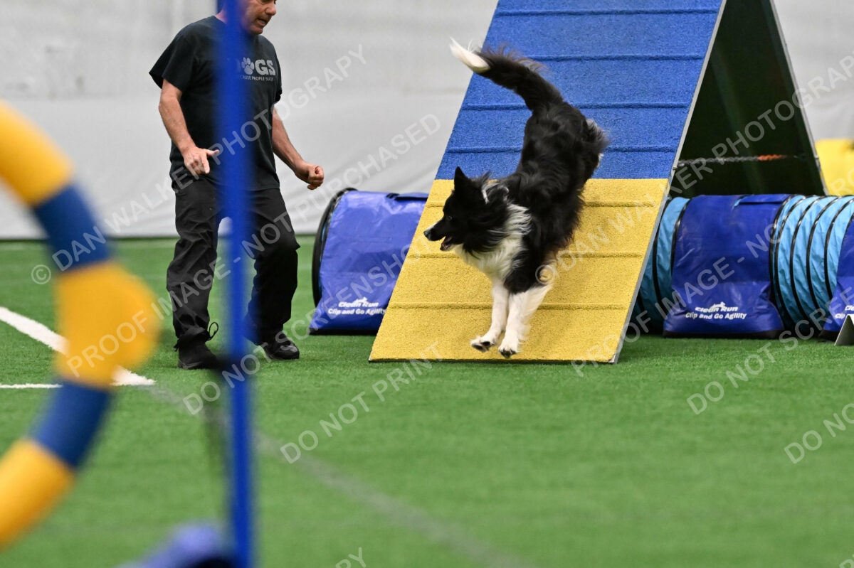 Frenzy-Robert-Rachow-10083