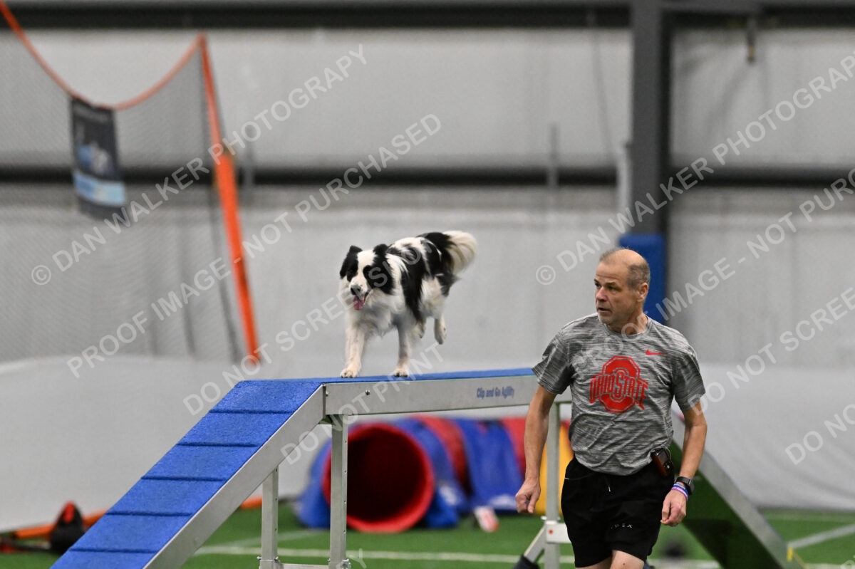 Hoopla-Tricia-Solinger-02571