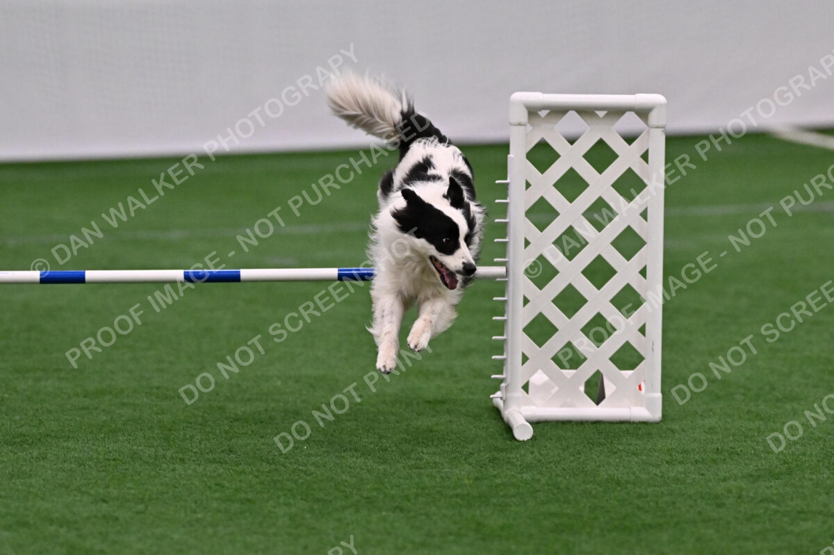 Hoopla-Tricia-Solinger-02613