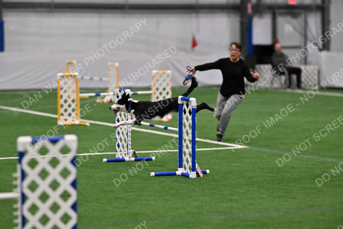 Ice-Jennifer-Walsh-08627