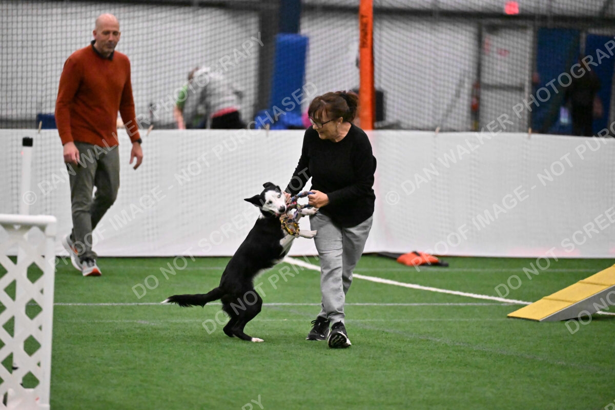 Ice-Jennifer-Walsh-08648