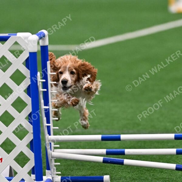 Izzy-Kathy-Barickman-09500