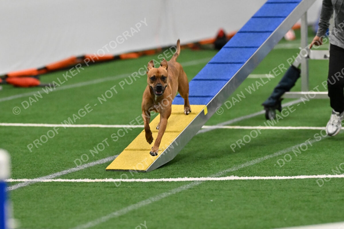 Amber-Britta-Nielsen-03775