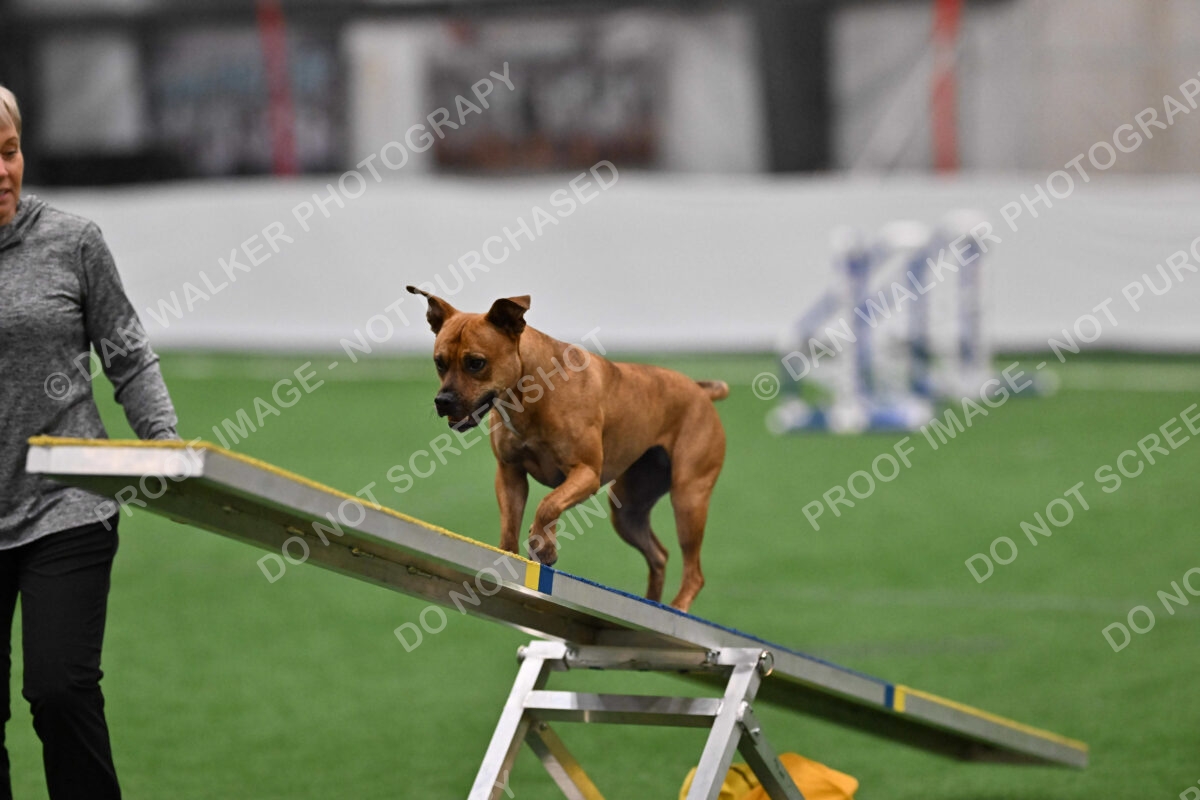 Amber-Britta-Nielsen-03793