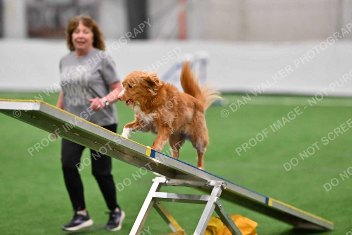 Basil-Cindy-Fink-03347