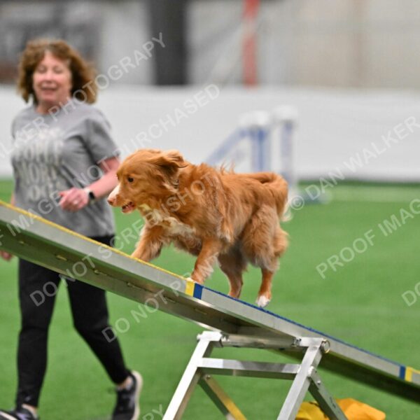 Basil-Cindy-Fink-03348