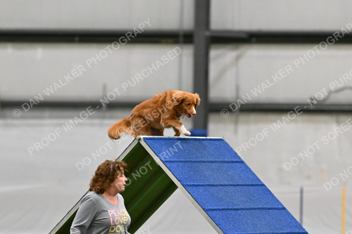 Basil-Cindy-Fink-03378