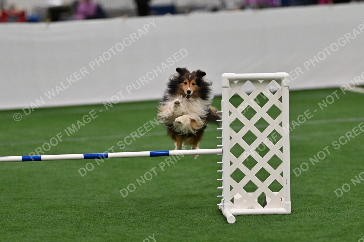 Bolt-Julie-Dunn-01982