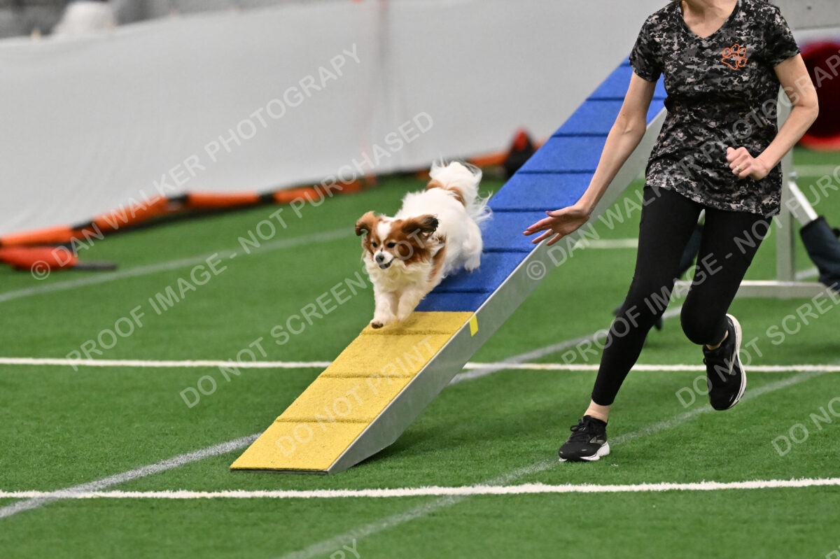 Boomer-Ramona-Cartwright-00371