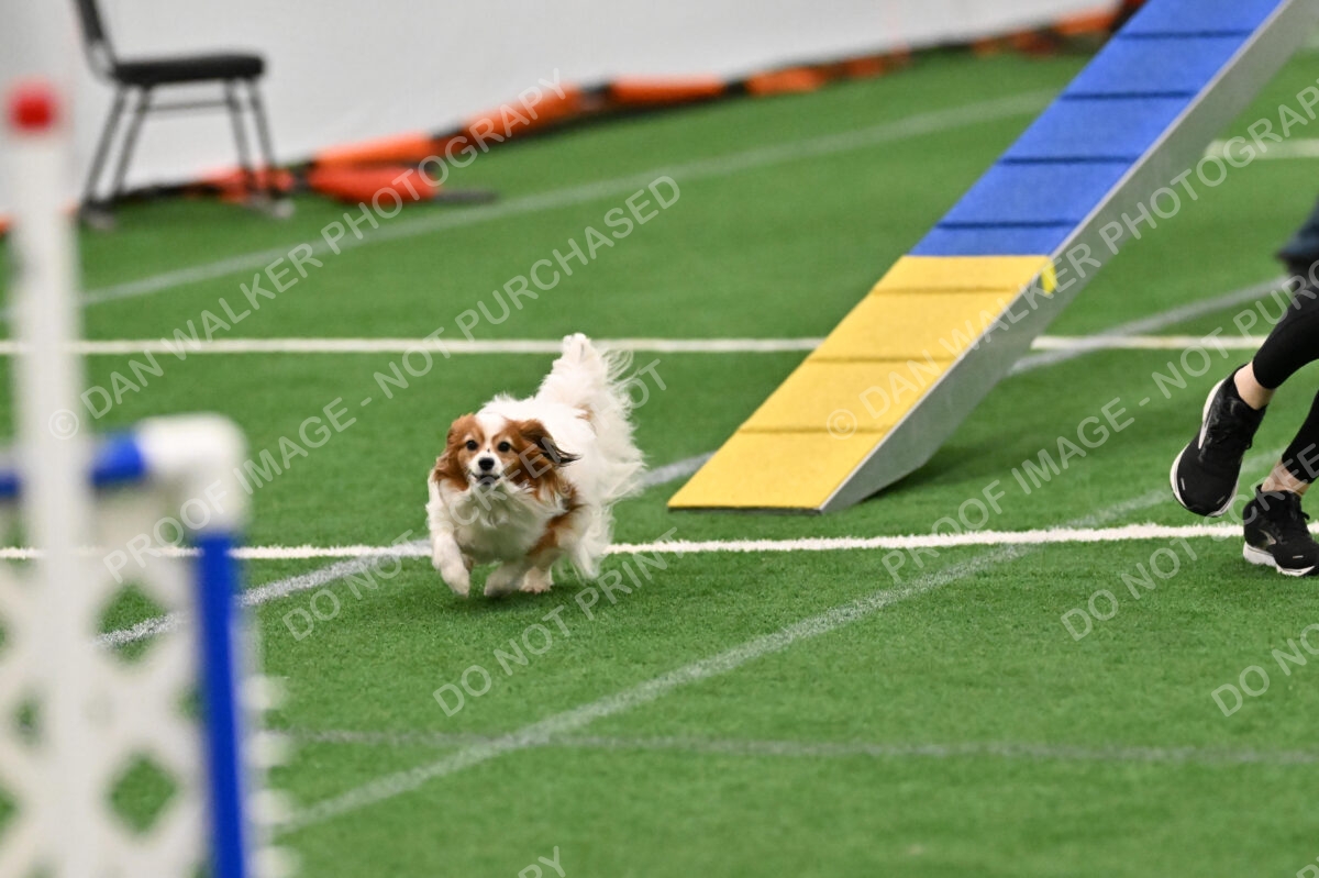 Boomer-Ramona-Cartwright-00375