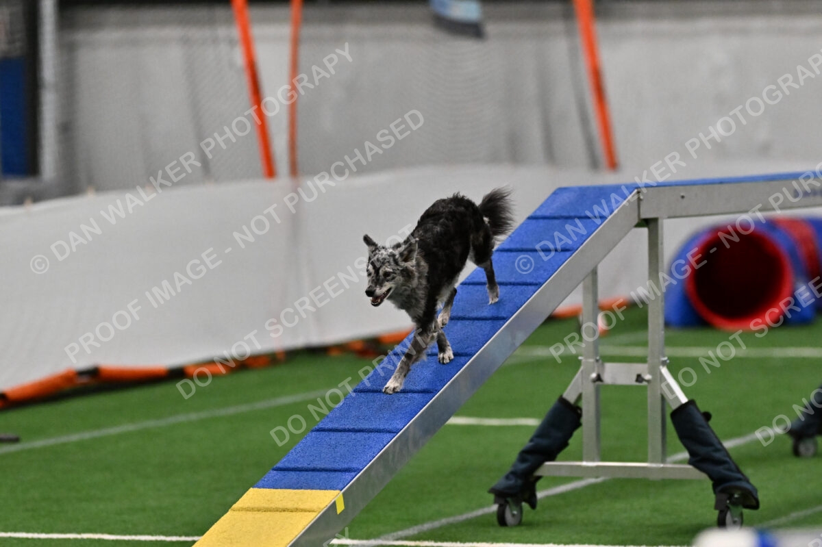 Bruce-Vic-Belebczuk-02298