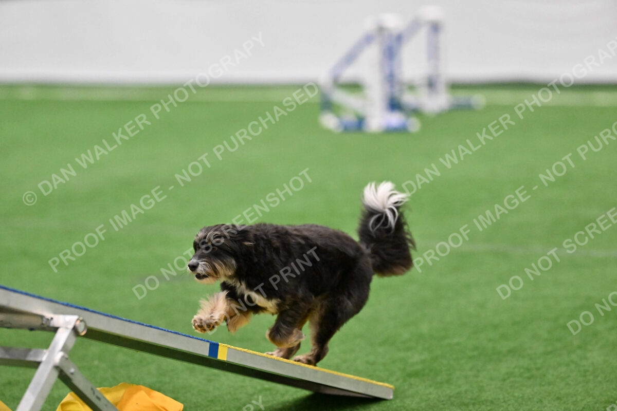 Brynie-Michelle-Burnmeister-02422