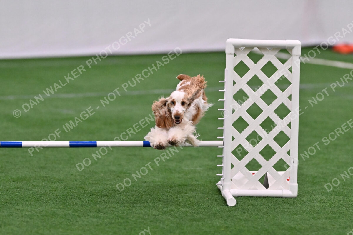 Cara-Colleen-Crowe-01112