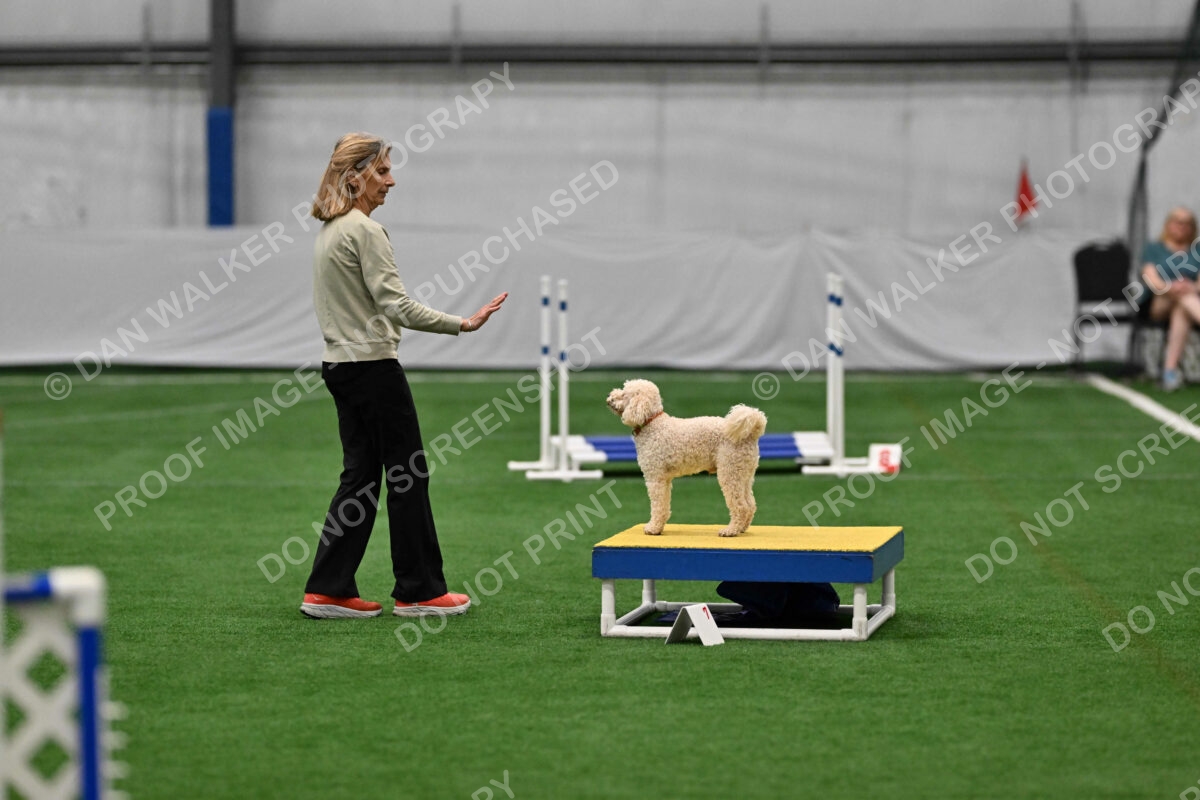 Charlie-Barbara-Thomas-08280