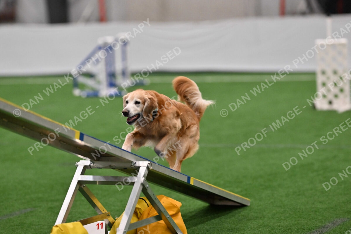 Check-Julianna-Lobosky-03909