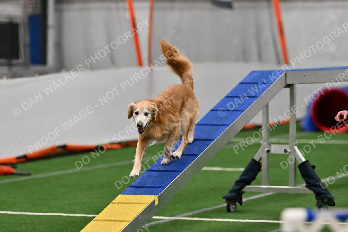 Check-Julianna-Lobosky-03927