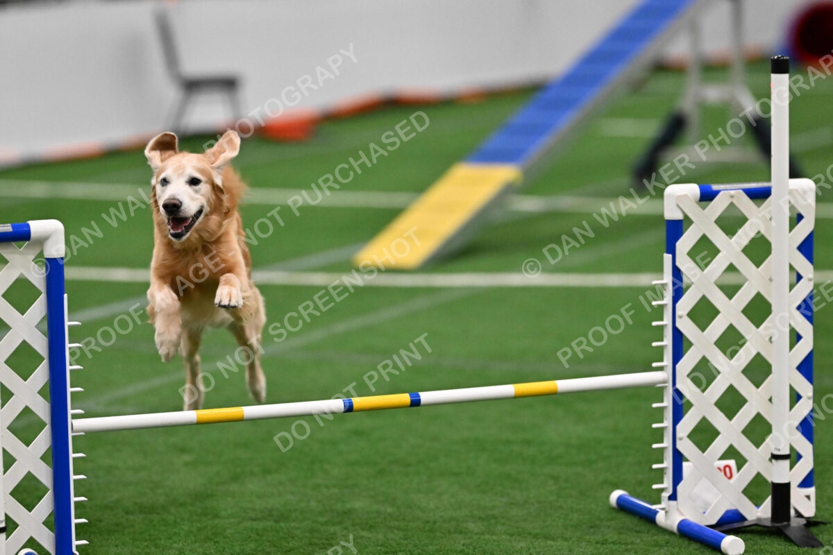 Check-Julianna-Lobosky-03939