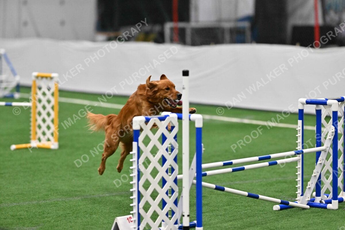 Duncan-Rosemary-Janoch-05063