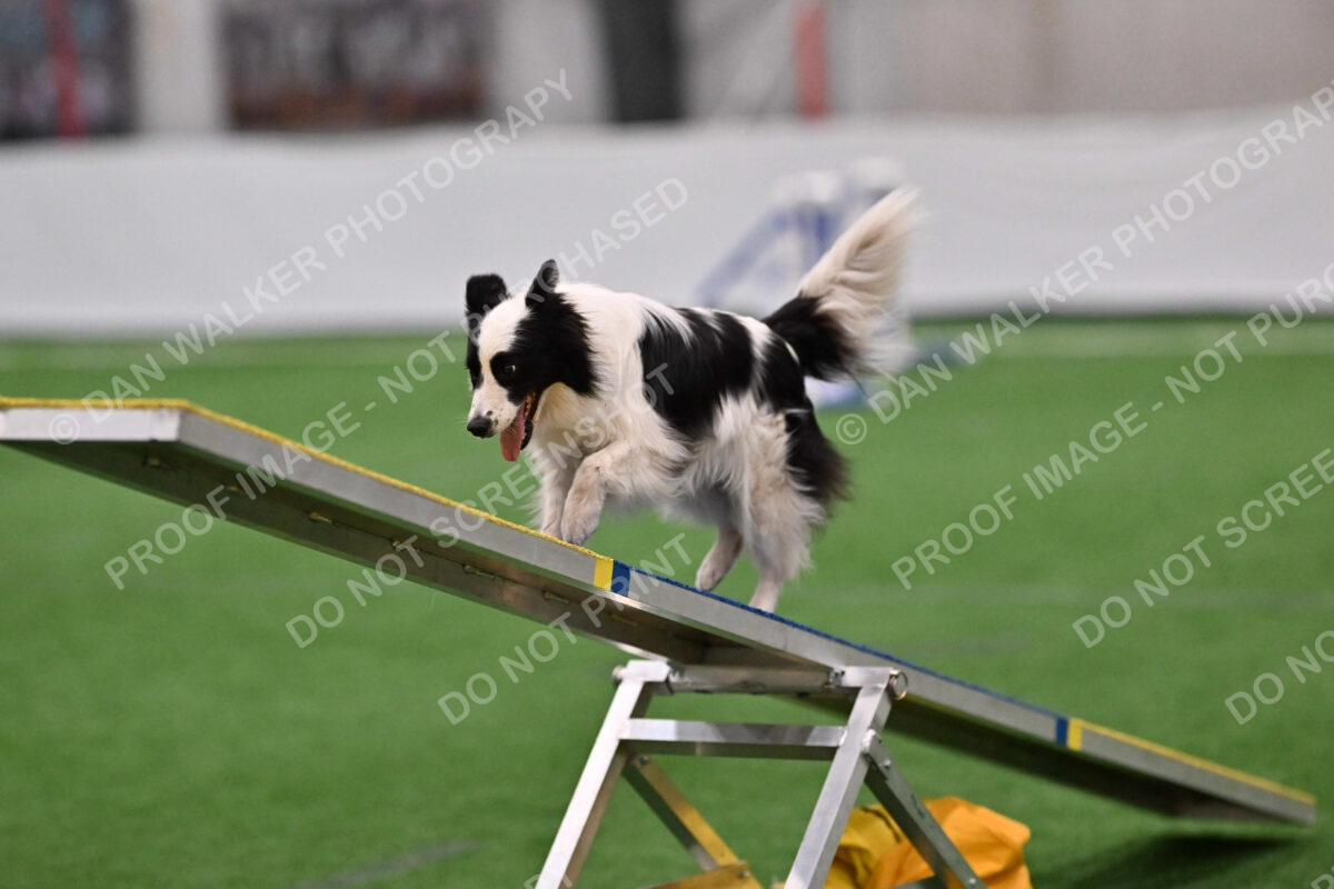 Hoopla-Tricia-Solinger-02560
