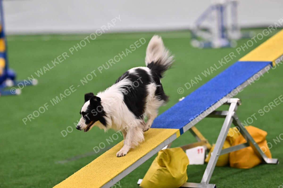 Hoopla-Tricia-Solinger-02566