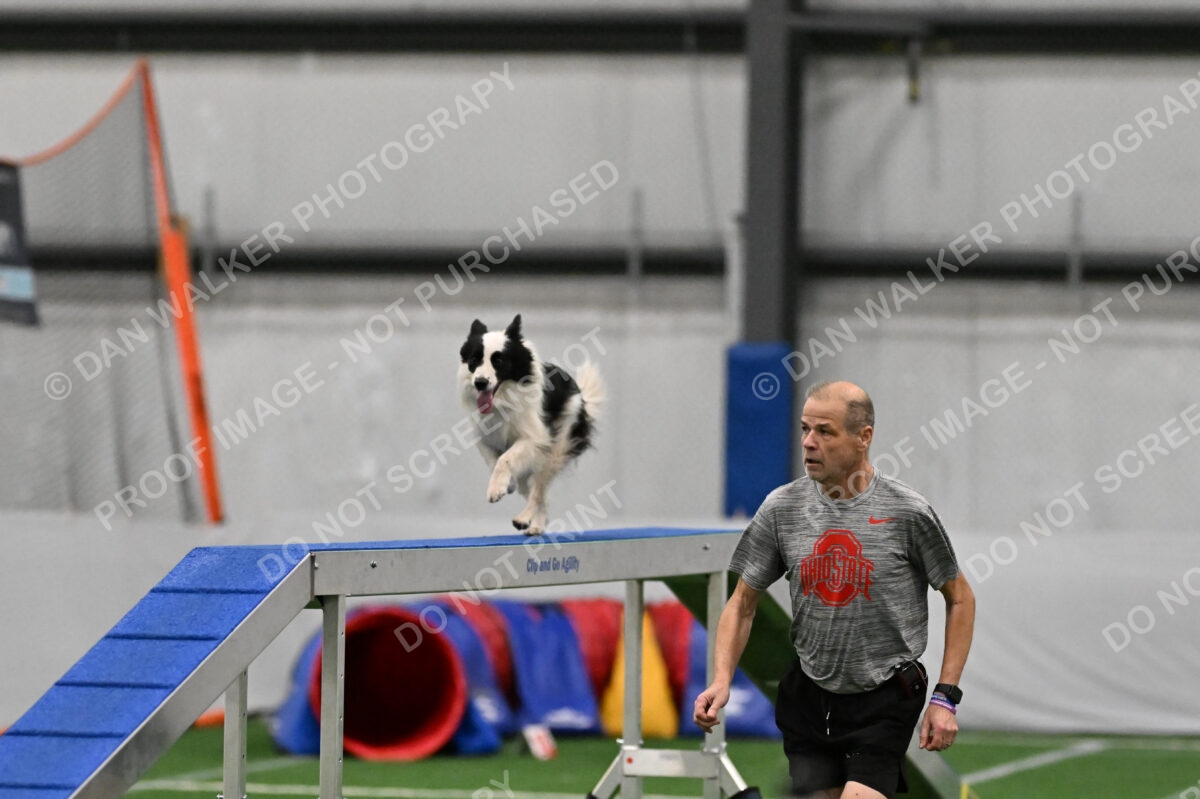 Hoopla-Tricia-Solinger-02570
