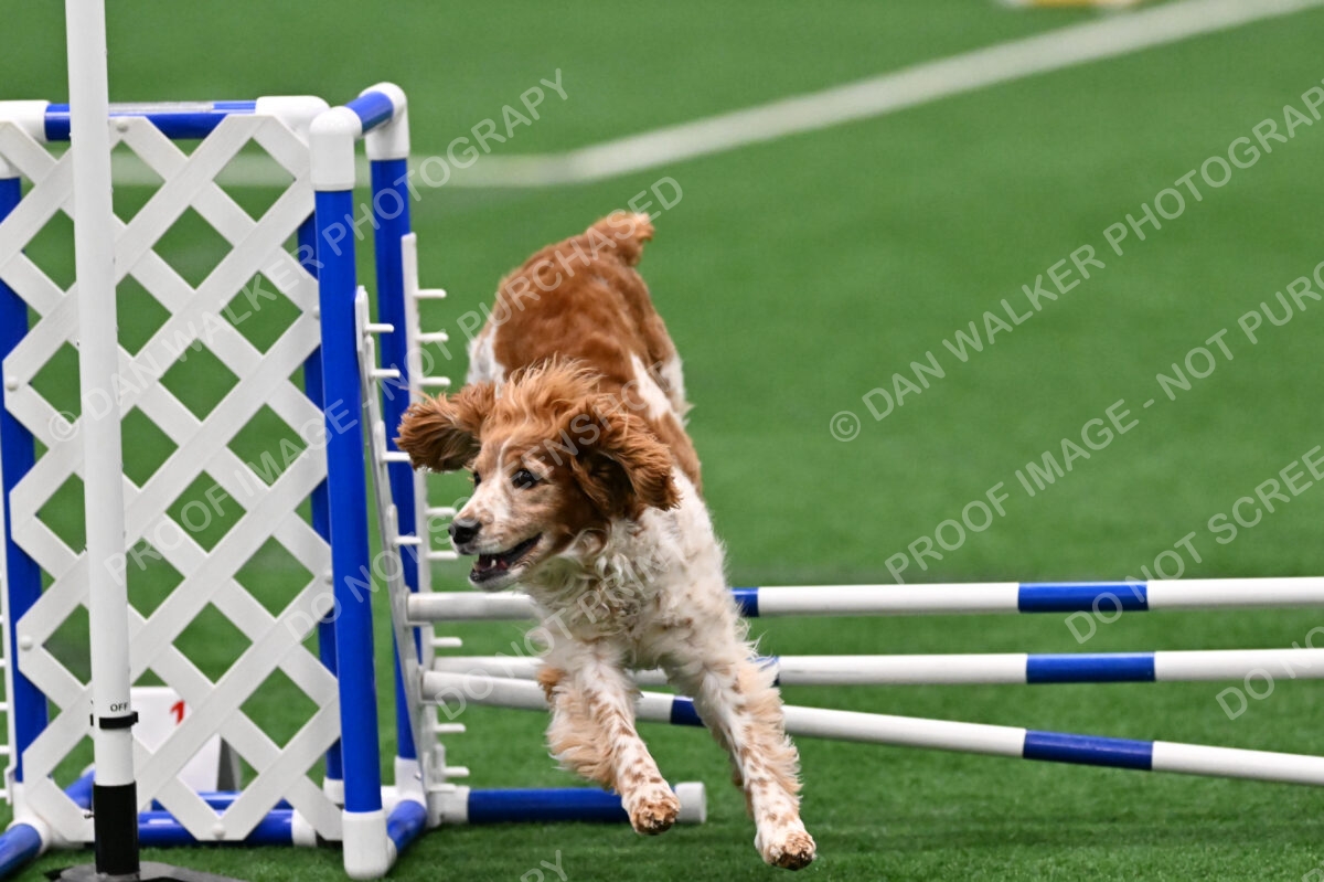 Izzy-Kathy-Barickman-09503