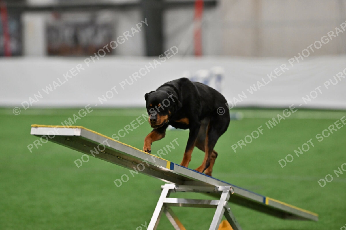 KAI-Katrina-Koehnle-05452