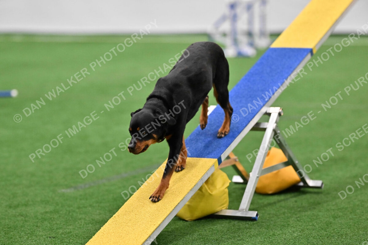 KAI-Katrina-Koehnle-05458